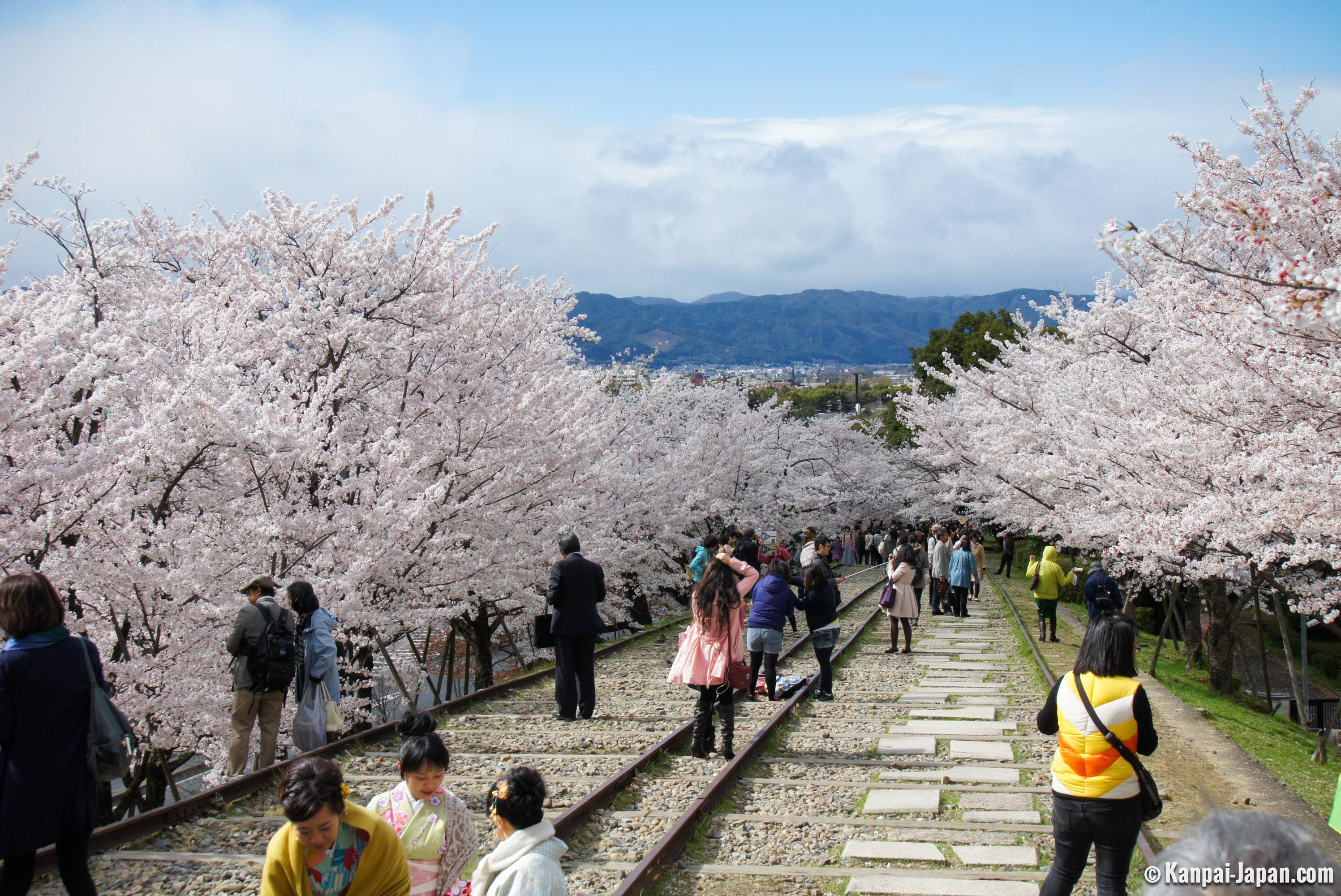🏞️ 비와호 제1 수로(비와코 다이이치 소스이) 이미지 8